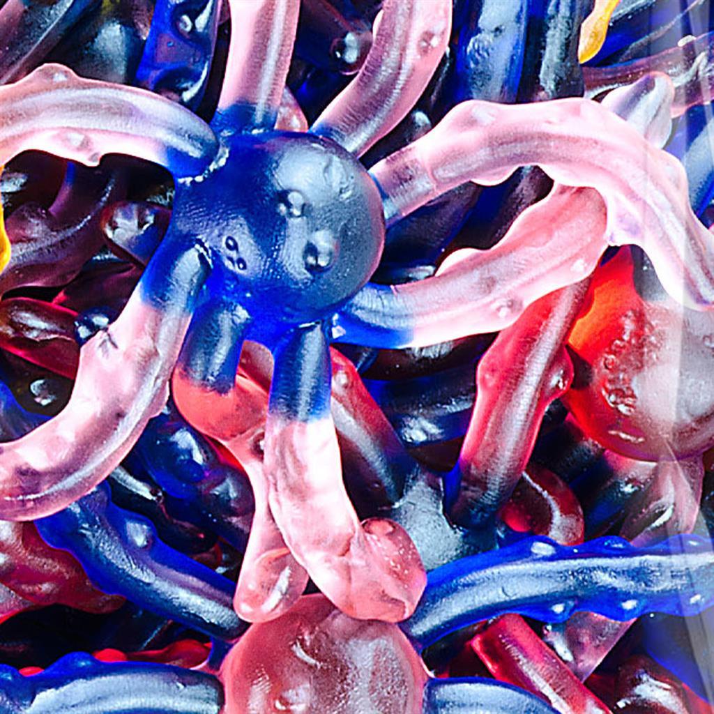 Blauwe Octupus